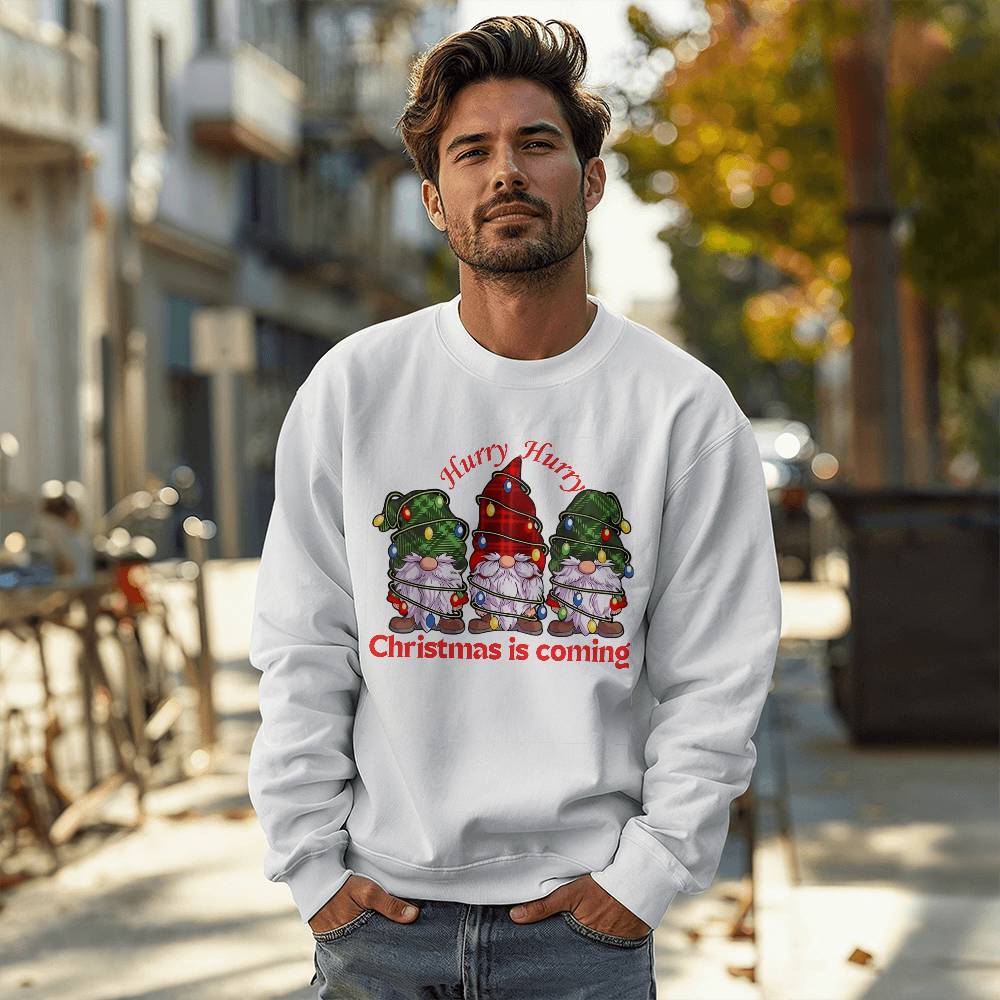 π HURRY HURRY! THE CHRISTMAS GNOMES ARE COMING SWEATSHIRT!! π